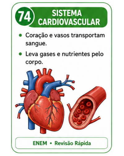Card de revisão do ENEM sobre o sistema cardiovascular